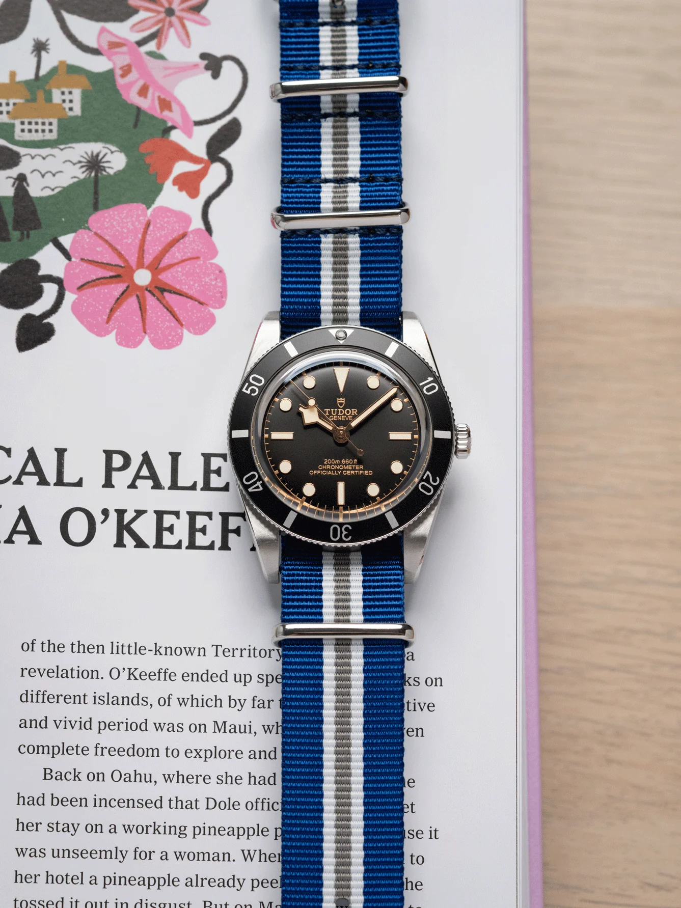Premium Nato Strap in Navy White Grey Crest - Image 2