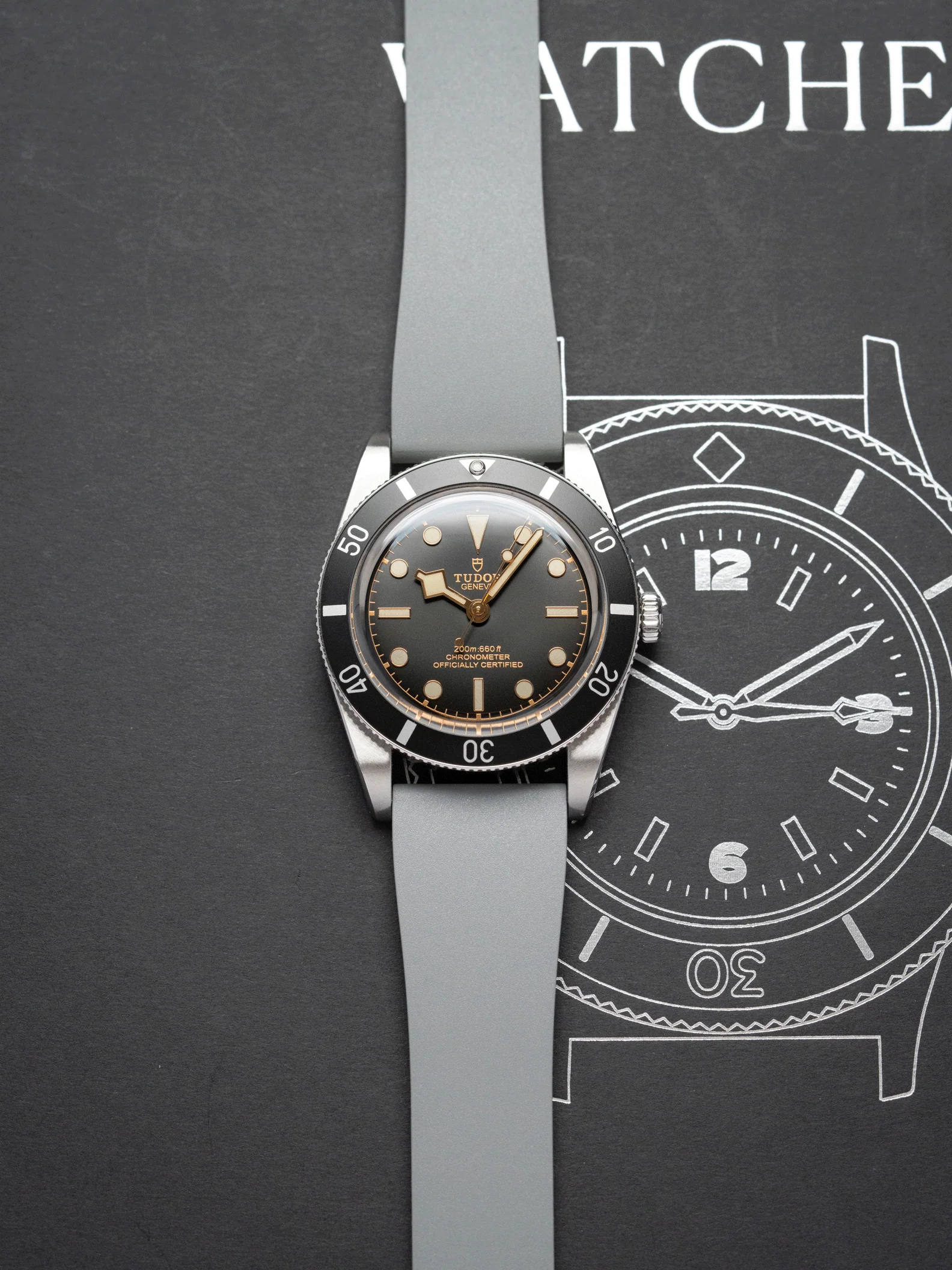 TrimFIT Classic FKM Rubber Strap in Grey - Image 2